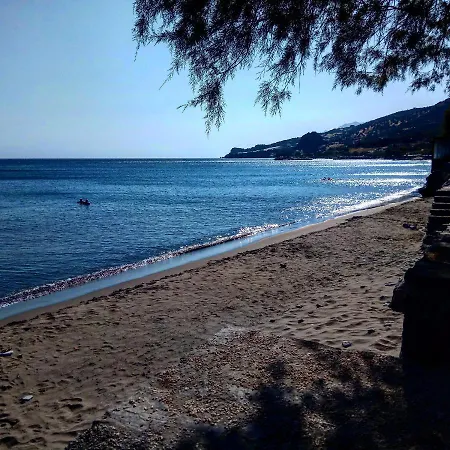 Zea Waves *